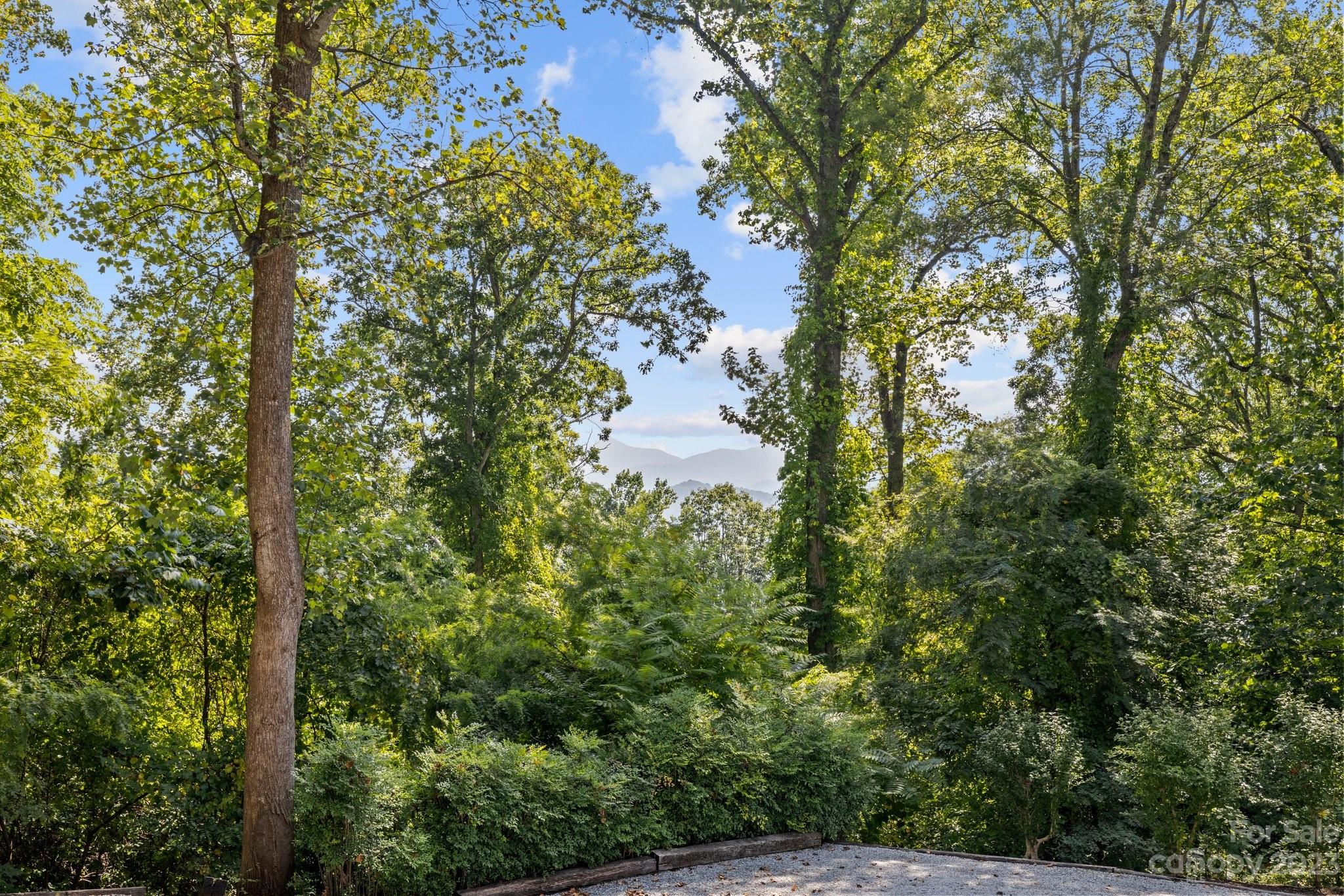 189 Laurel Road Arden, NC 28704 - Photo 43 of 43 Gallery Image 43