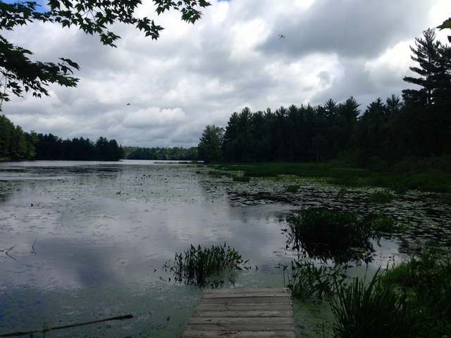 W3652 Deer Run Road Tomahawk, WI 54487 - Photo 14 of 16 Gallery Image 14