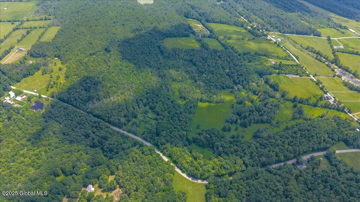 L3.22 Larry Hill Road Schoharie, NY 12157 - Photo 3 of 13 02-Larry Hill Road-2