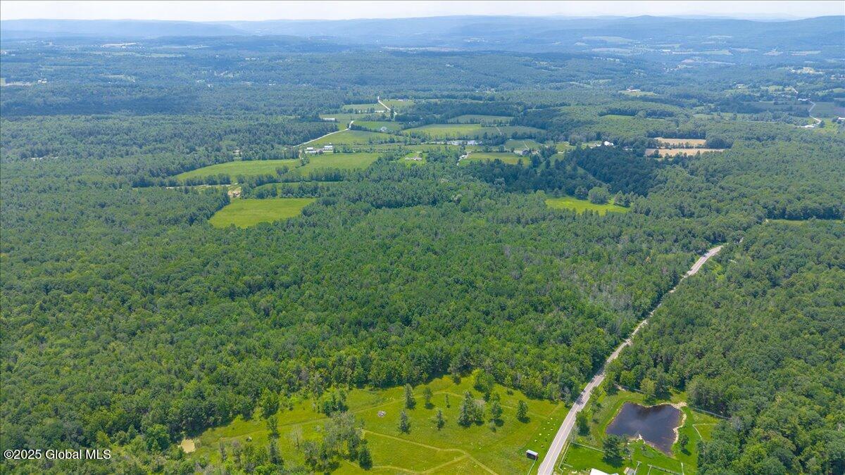 L3.22 Larry Hill Road Schoharie, NY 12157 - Photo 6 of 13 12-Larry Hill Road-12