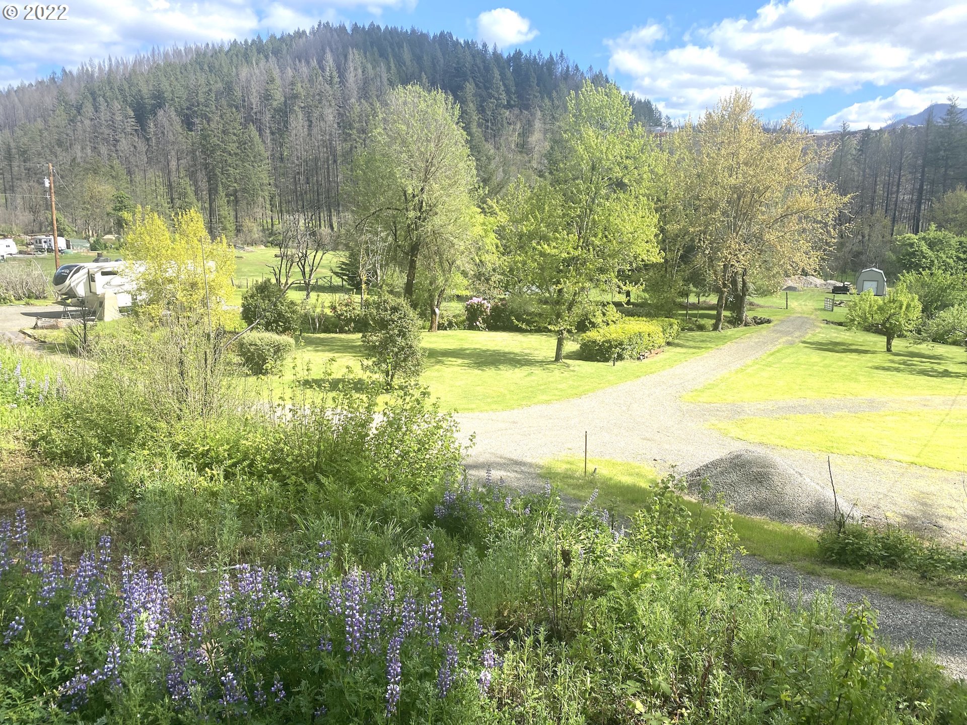46014 North Gate Creek Road Vida, OR 97488 - Photo 1 of 32 Gallery Image 1