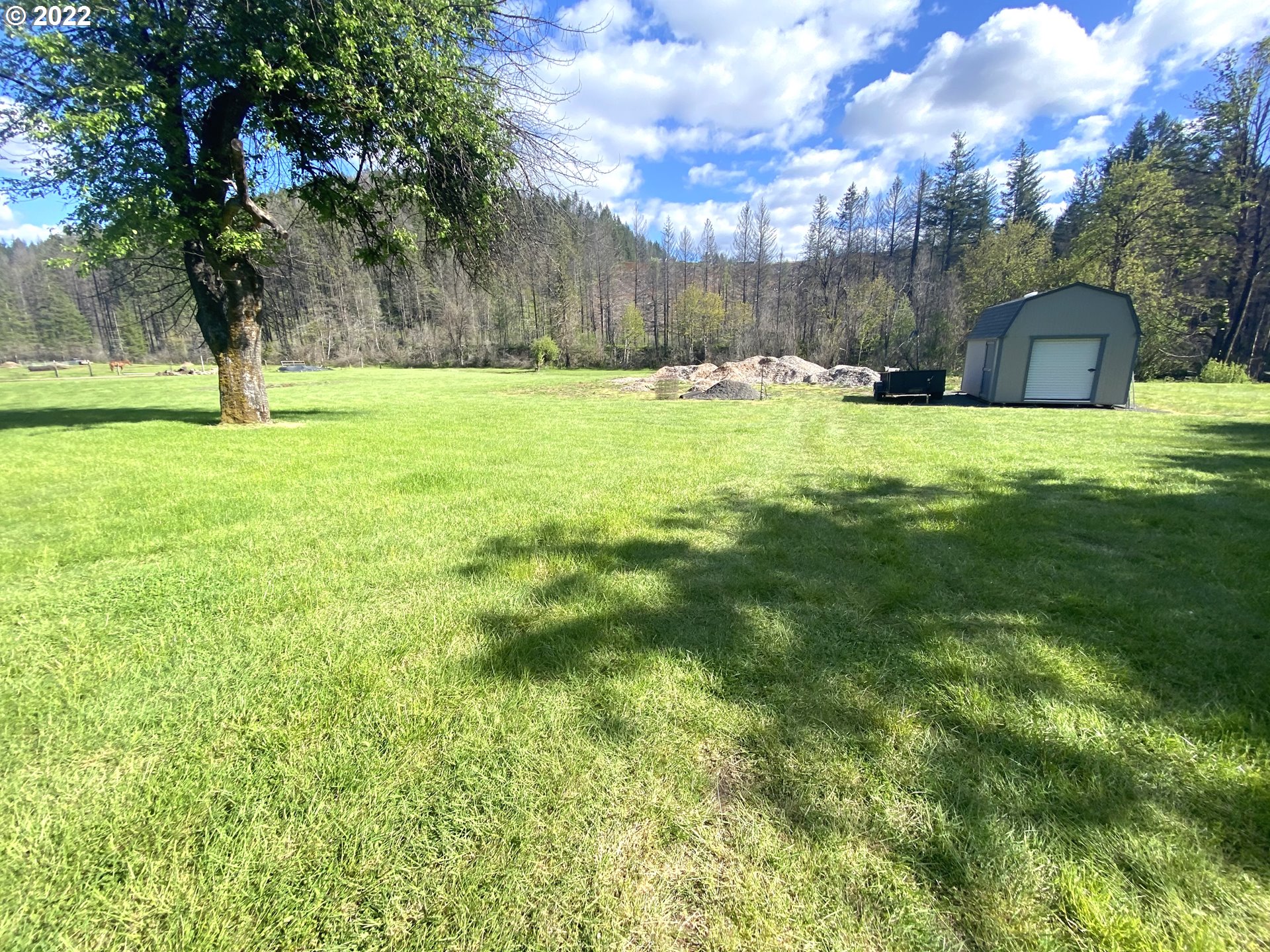 46014 North Gate Creek Road Vida, OR 97488 - Photo 19 of 32 Gallery Image 19