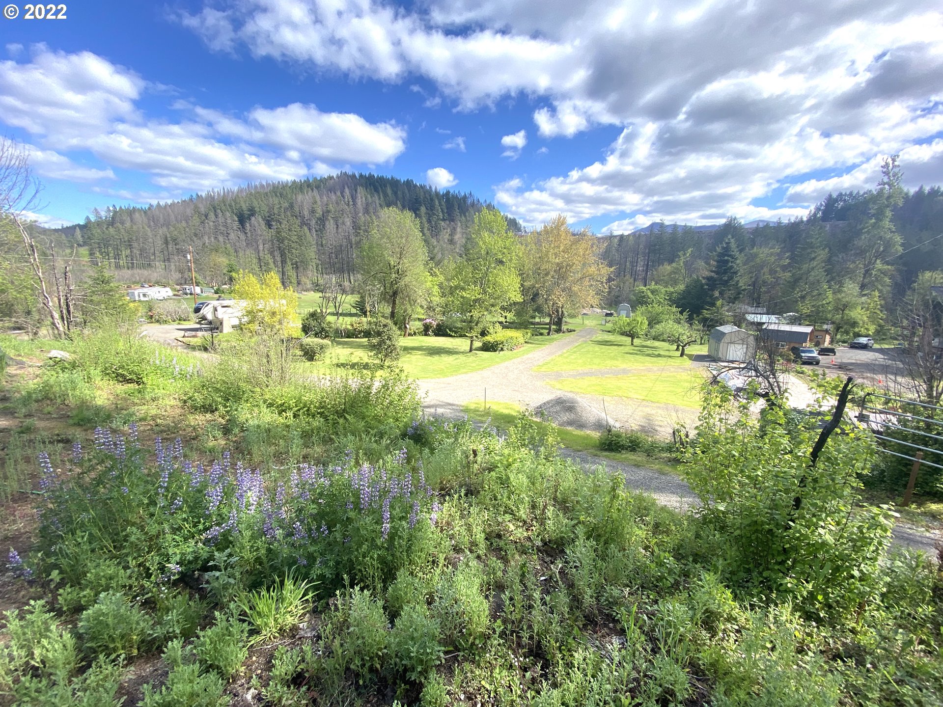 46014 North Gate Creek Road Vida, OR 97488 - Photo 32 of 32 Gallery Image 32