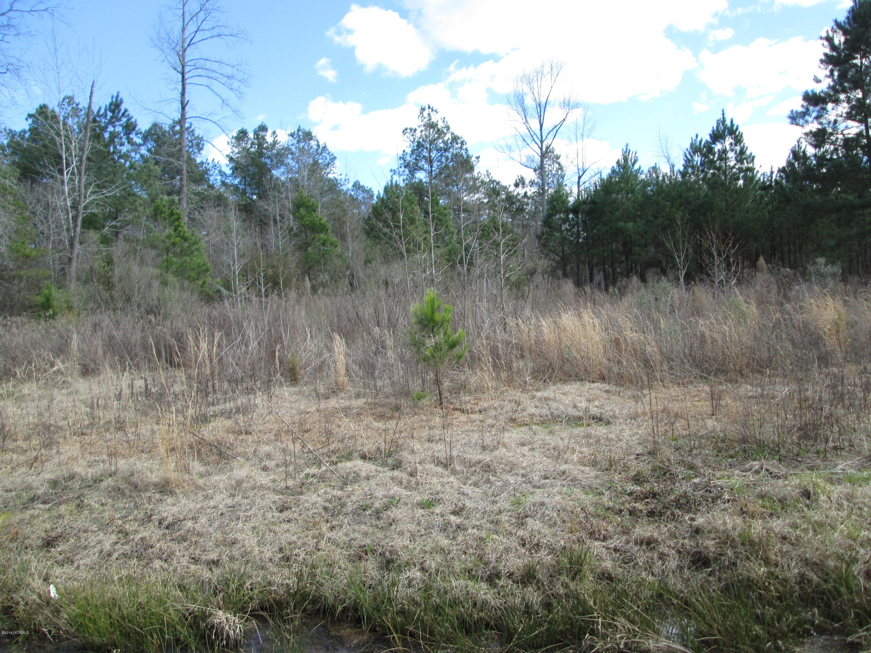 1845 Money Hole Road Riegelwood, NC 28456 - Photo 1 of 1 IMG_0133