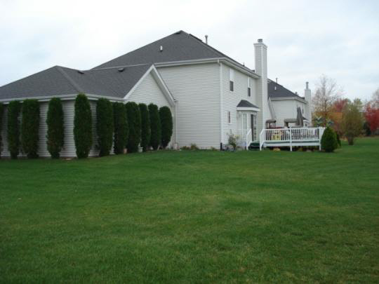 10694 Chicory Ridge Way Roscoe, IL 61073 - Photo 11 of 11 a house view with a garden in front of it