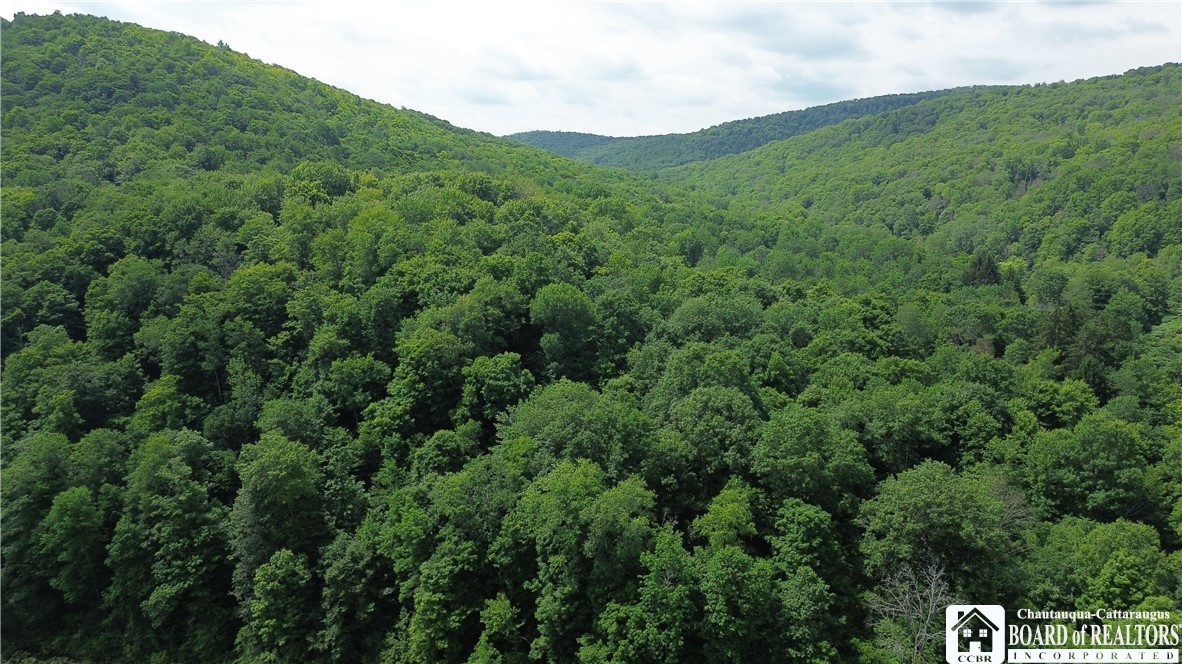 2045 Baxter Mills Road Ischua, NY 14743 - Photo 8 of 44 Gallery Image 8