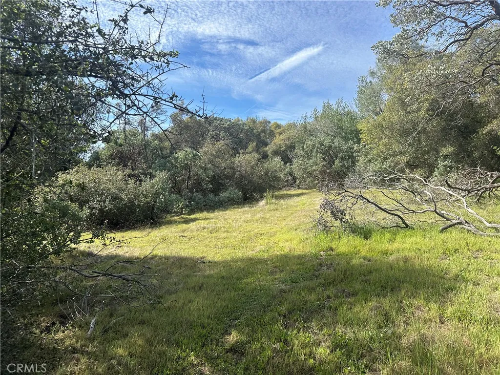 9 Quartz Ridge Court Coarsegold, CA 93614 - Photo 7 of 14