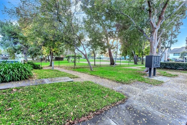 a view of a park with tree s