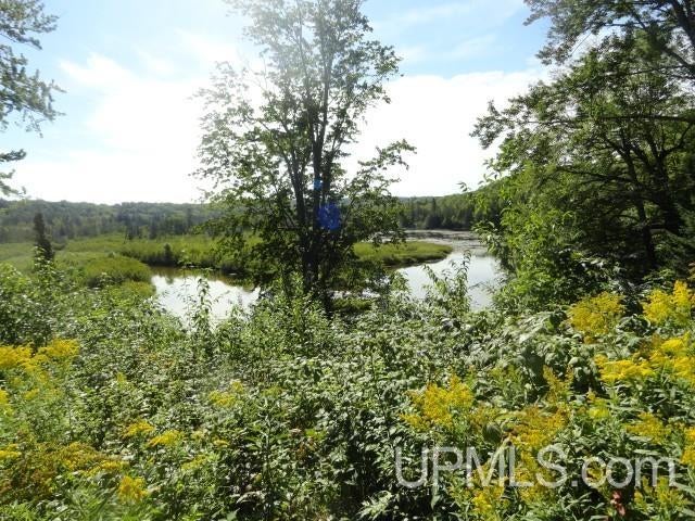 Tbd Autrain Forest Lake Road Au Train, MI 49806 - Photo 1 of 5 Gallery Image 1