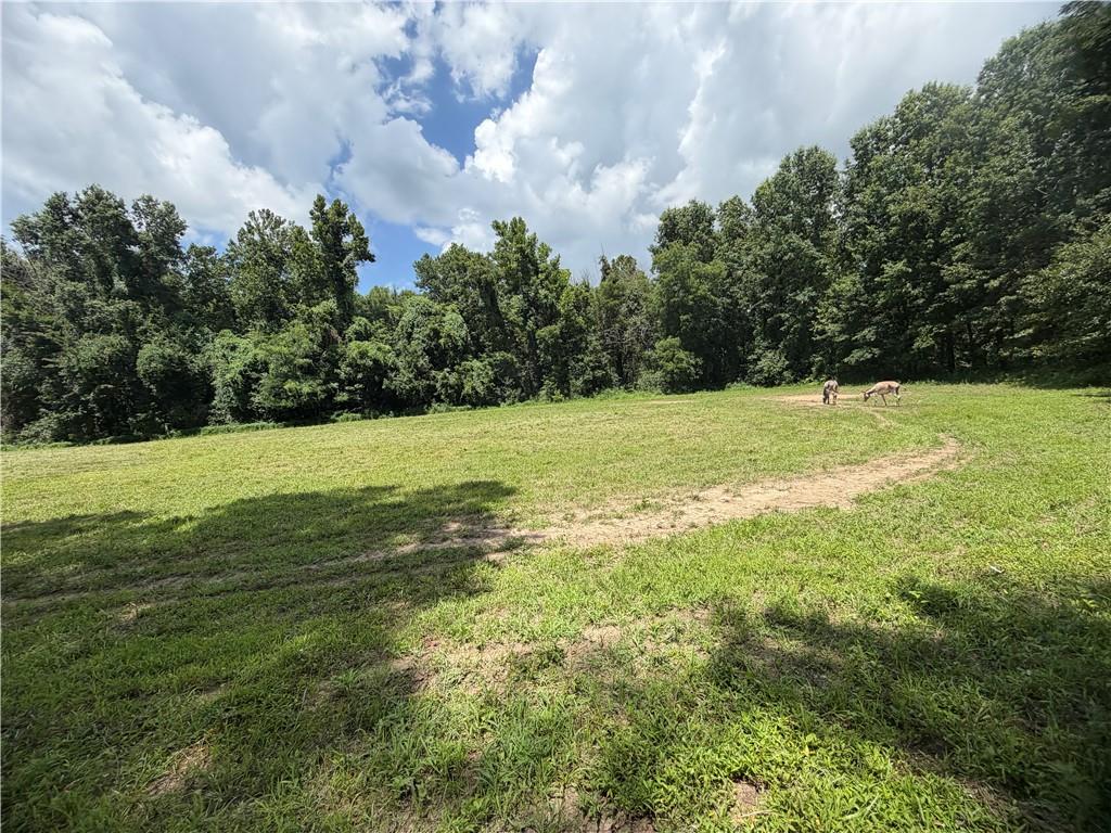 Tbd Campbell Road Knob Noster, MO 65336 - Photo 42 of 88 Gallery Image 42