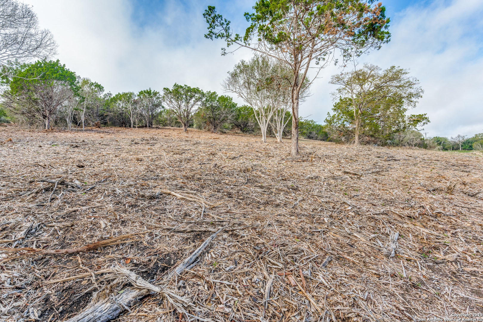 13 Wesp Way Live Oak, TX 78233 - Photo 5 of 10 a view of a yard with a tree