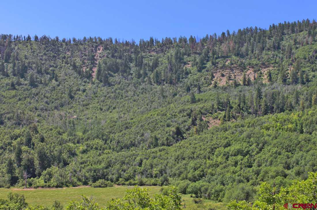 Tbd Tbd Destination Ranch Road Durango, CO 81301 - Photo 9 of 16