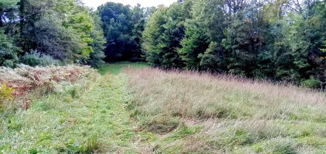 $150,000 | 658 Lower Elmore Mountain Road, Unit 2, Morristown, VT 05661