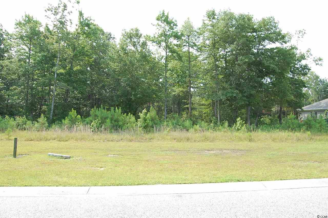 Lot #4 Newcastle Loop Myrtle Beach, SC 29588 - Photo 4 of 4 Gallery Image 4