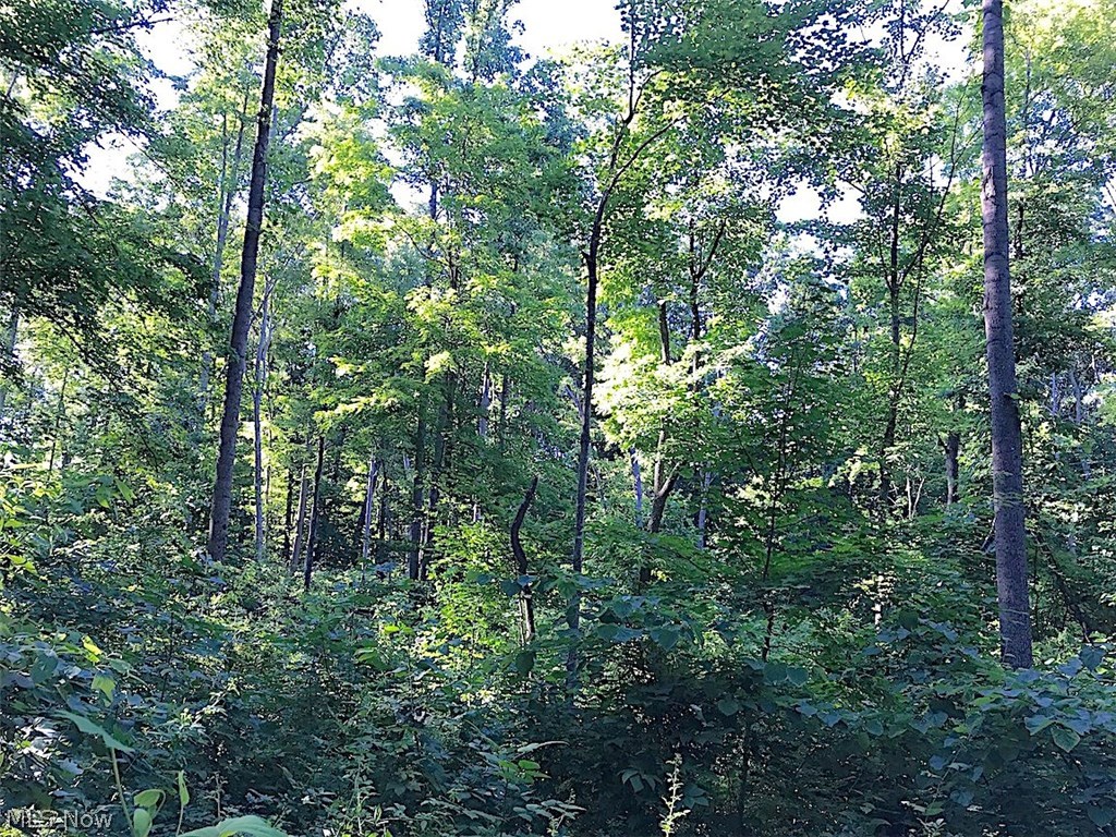 7415 Mulberry Road Newark, OH 43056 - Photo 18 of 35