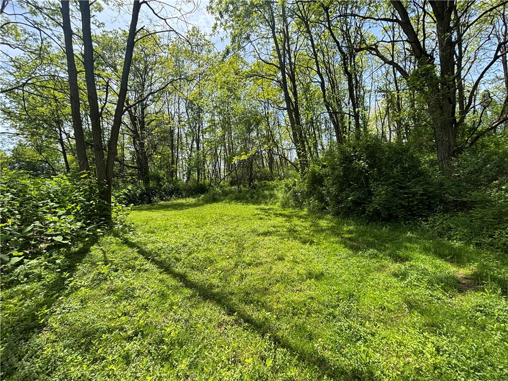 2901 Cambier Road Newark, NY 14513 - Photo 36 of 41