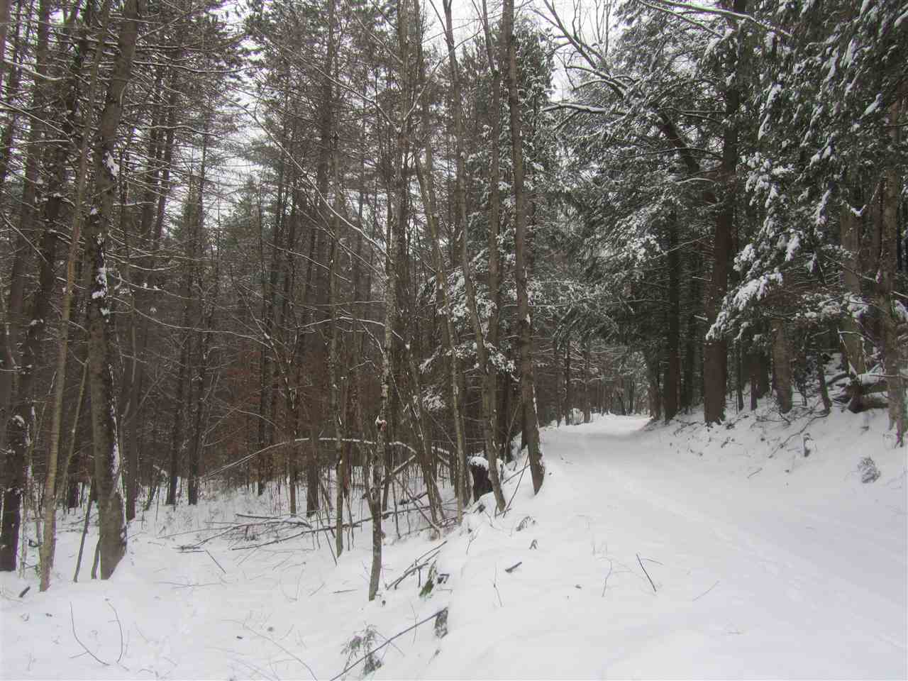 304 Kelsea Mountain Road Randolph Center, VT 05061 - Photo 1 of 2 Gallery Image 1