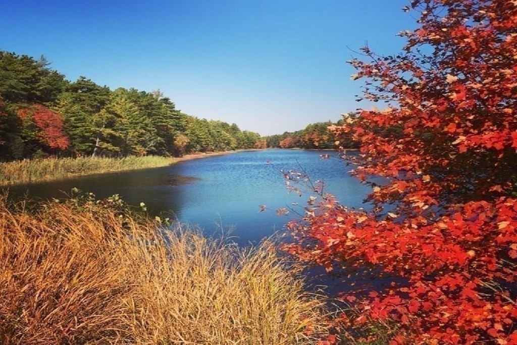 6 Jordan Road Wareham, MA 02571 - Photo 16 of 19