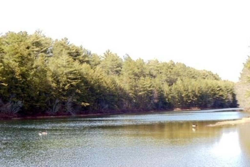 6 Jordan Road Wareham, MA 02571 - Photo 19 of 19