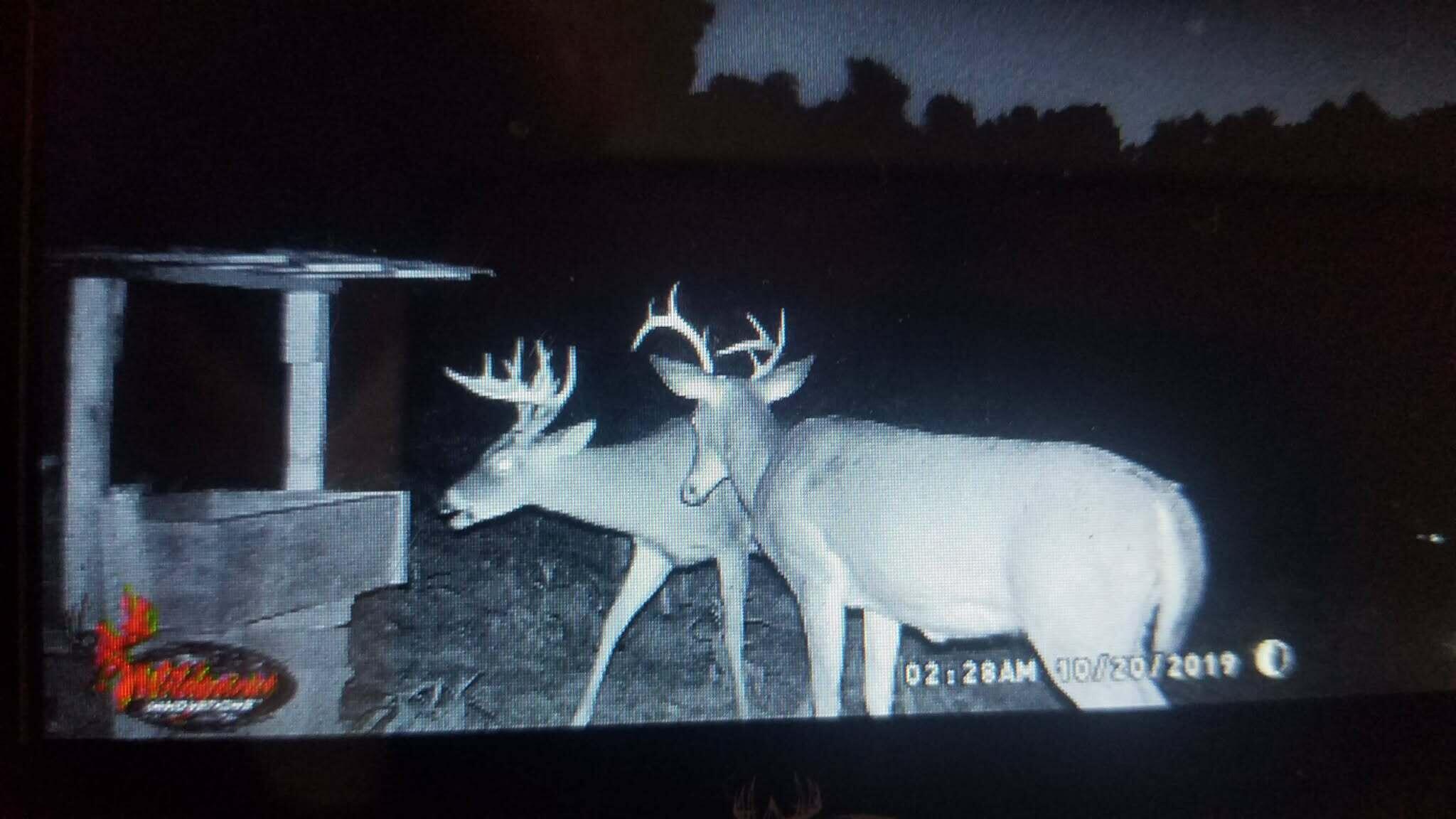 404 Lower Nickell Branch Road Hazel Green, KY 41332 - Photo 62 of 89 att._tmq0DFx9V5tIeyZKurW29z4ztJo18mOSWWT