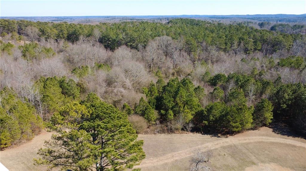 820 Ledbetter Road Villa Rica, GA 30180 - Photo 18 of 58