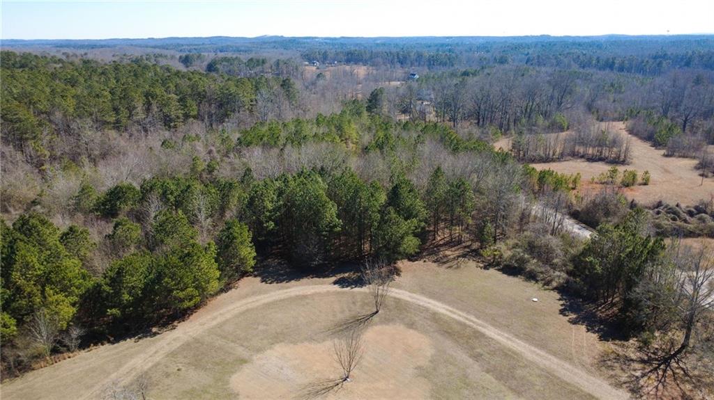 820 Ledbetter Road Villa Rica, GA 30180 - Photo 19 of 58