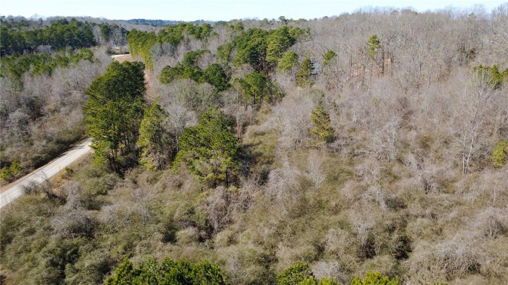 820 Ledbetter Road Villa Rica, GA 30180 - Photo 20 of 58