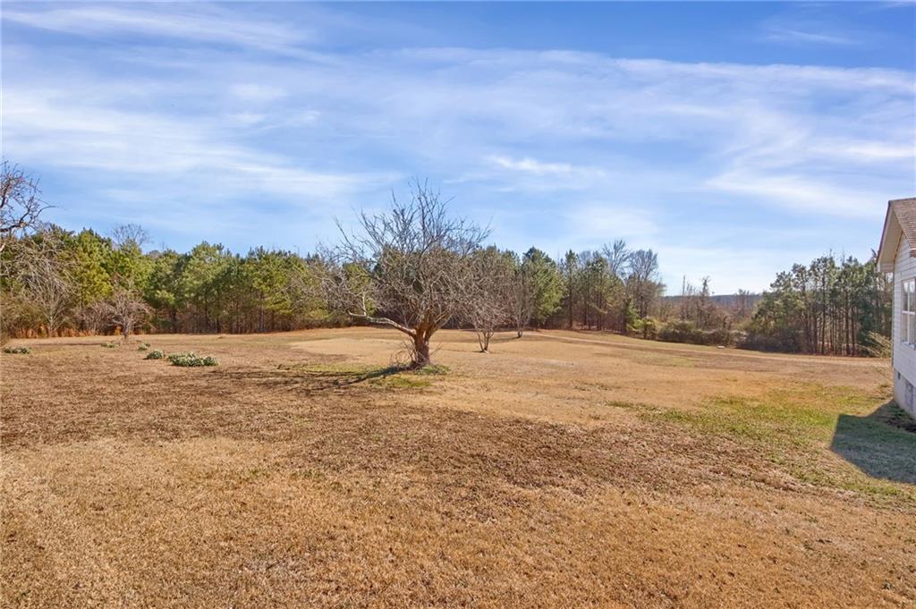 820 Ledbetter Road Villa Rica, GA 30180 - Photo 38 of 58