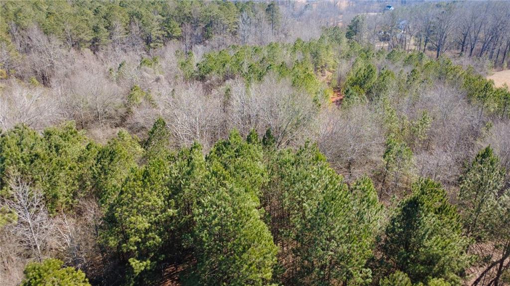 820 Ledbetter Road Villa Rica, GA 30180 - Photo 9 of 58