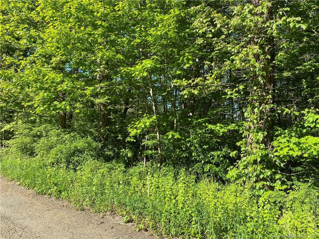 0 Donald Road Guilford, CT 06437 - Photo 1 of 1