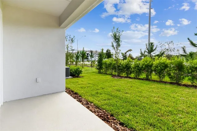 a view of a garden with plants