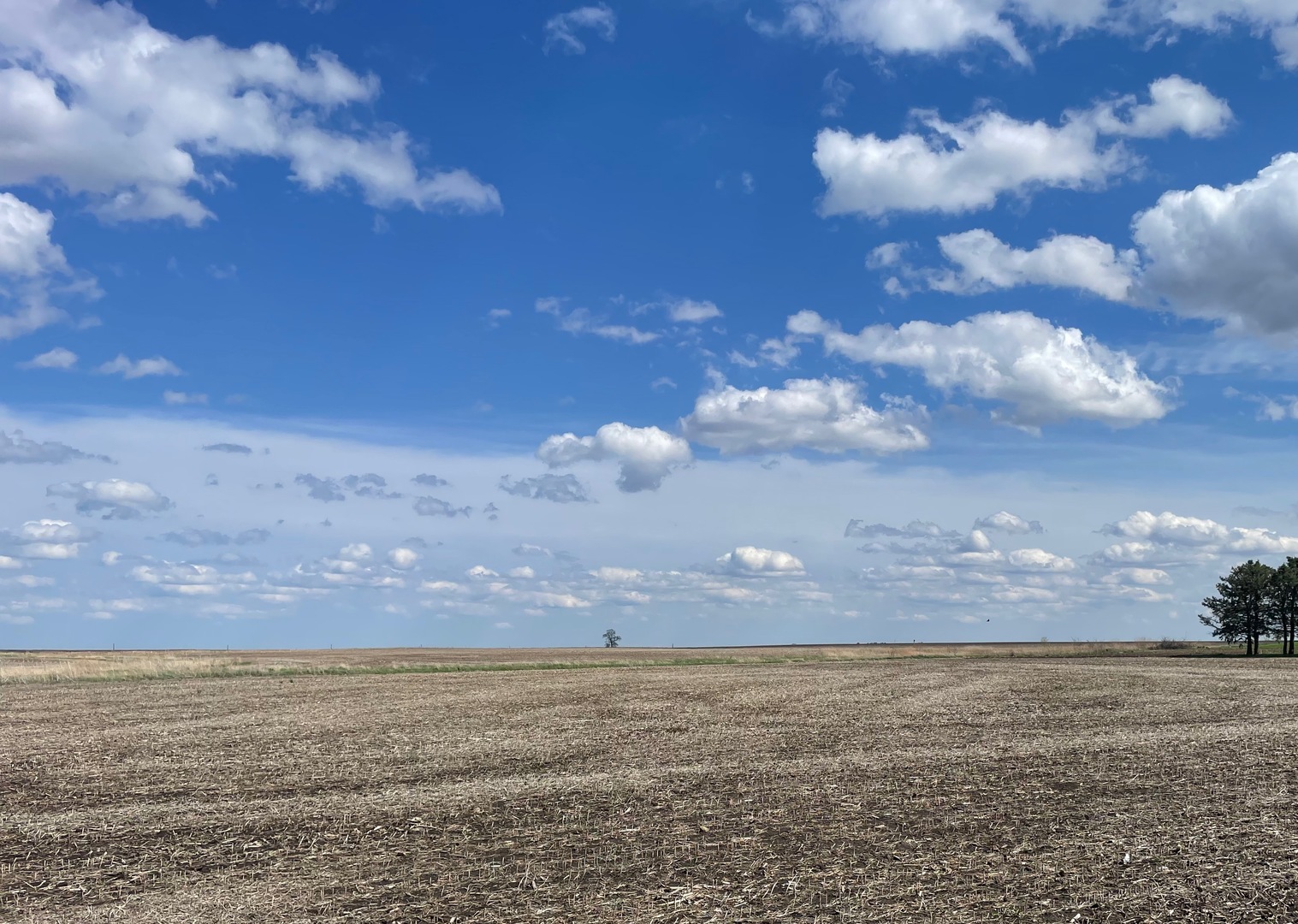 26417 South Schoolhouse Road Manhattan, IL 60442 - Photo 1 of 1 a view of a lake
