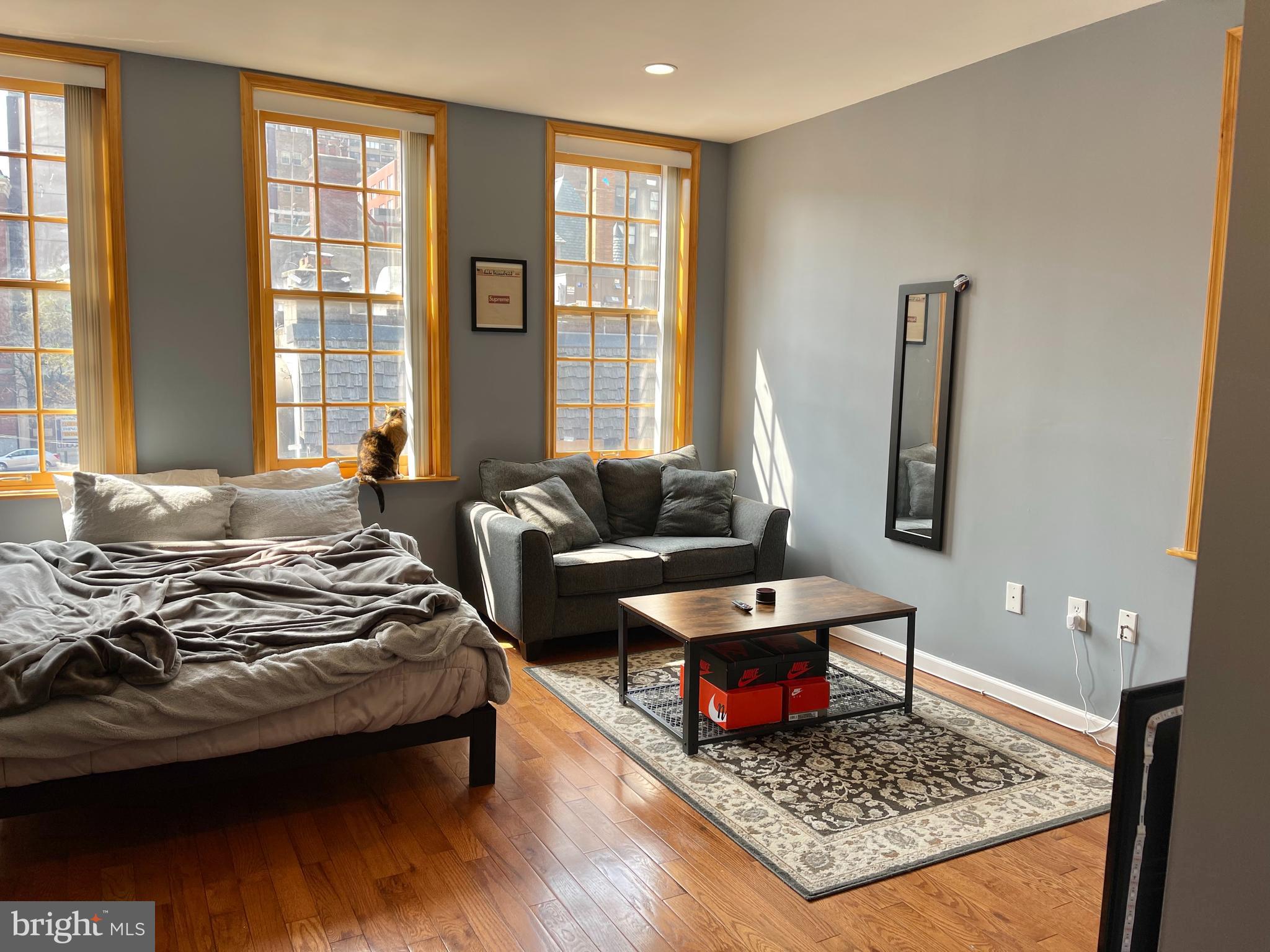 1316 Walnut Street, Unit 3R Philadelphia, PA 19107 - Photo 12 of 15 a living room with furniture and a rug