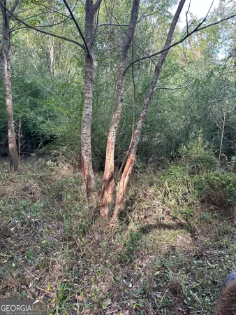 $8,166,600 | 0 Seven Islands Road, Madison, GA 30650
