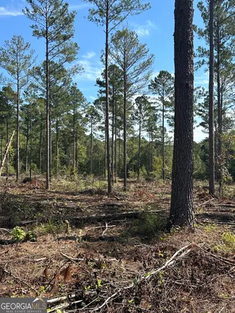 $8,166,600 | 0 Seven Islands Road, Madison, GA 30650