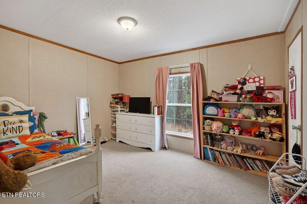 582 Doug Luna Road Walling, TN 38587 - Photo 18 of 35 1000076145_17