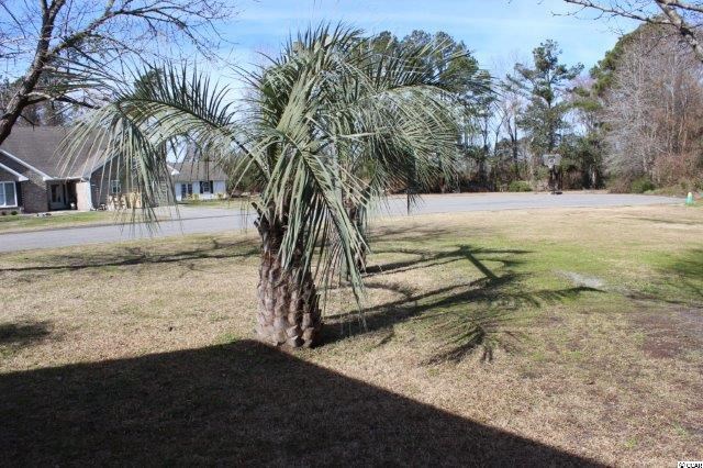 1695 Duke Road Longs, SC 29568 - Photo 23 of 25 Gallery Image 23