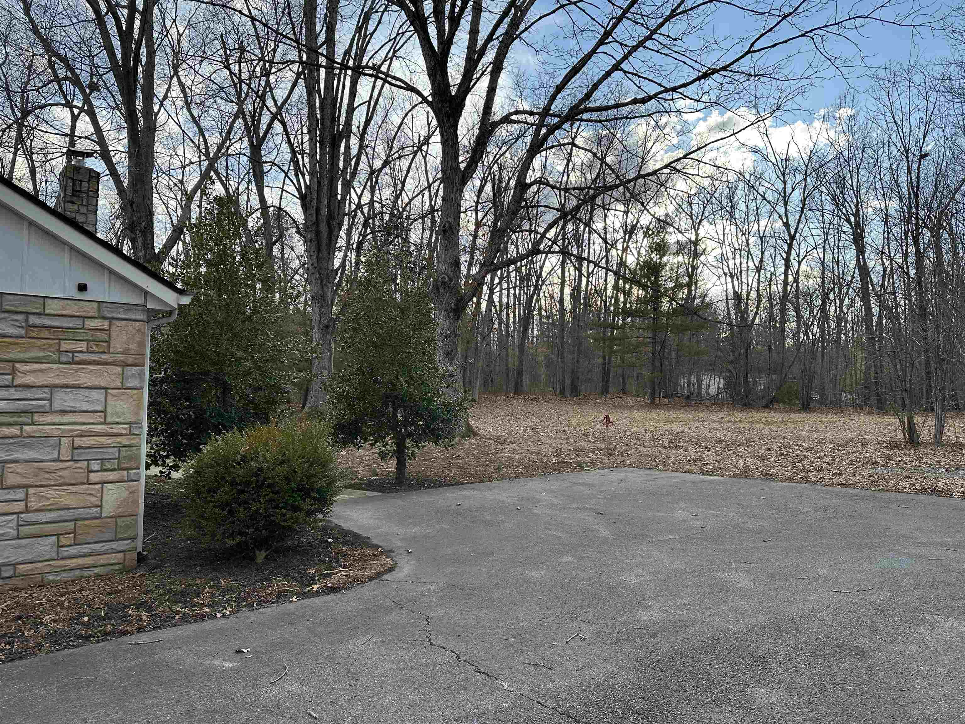 2205 Mt Torrey Road Lyndhurst, VA 22952 - Photo 6 of 43 a view of backyard with trees