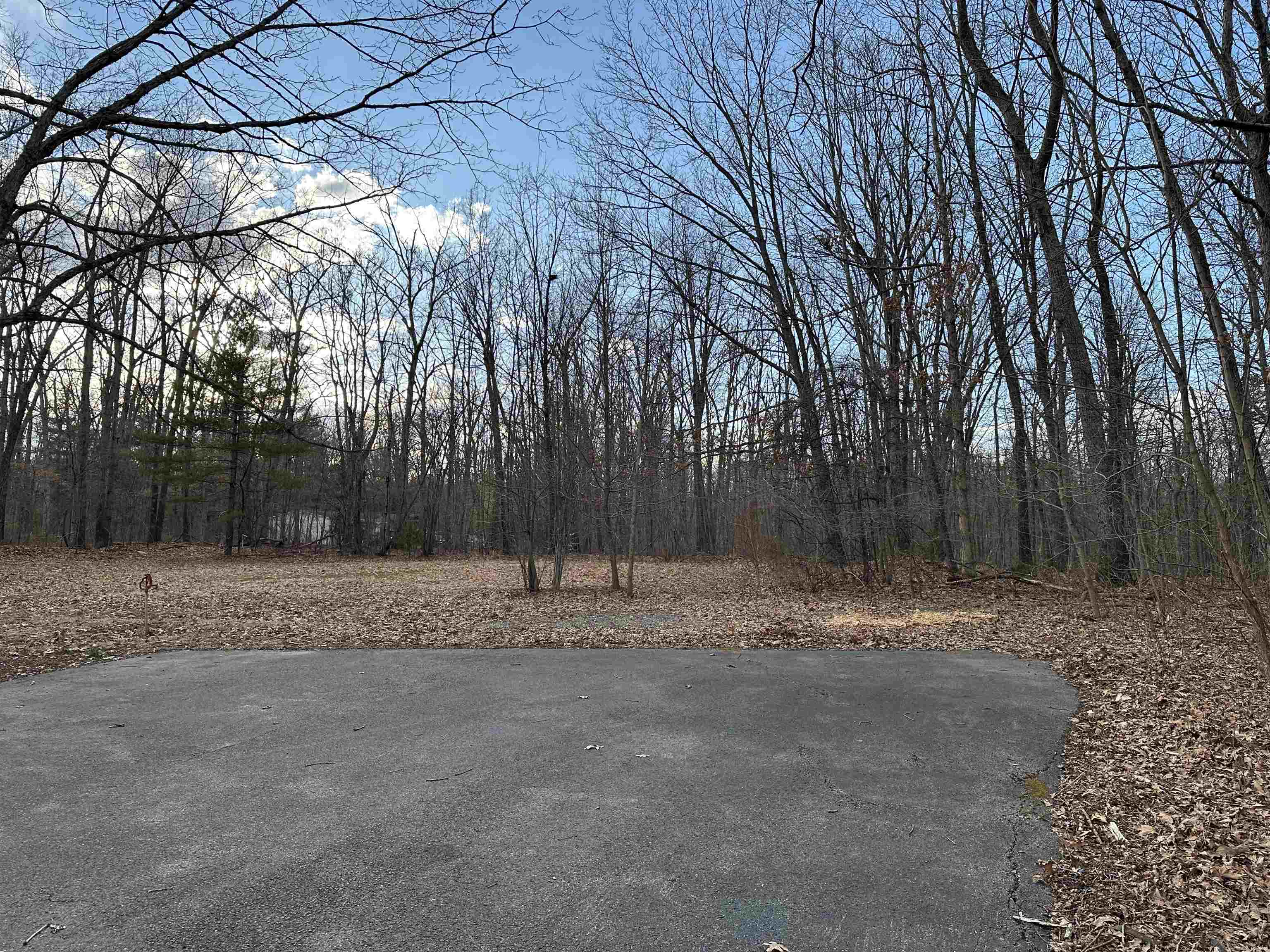 2205 Mt Torrey Road Lyndhurst, VA 22952 - Photo 7 of 43 a view of dirt yard with a trees