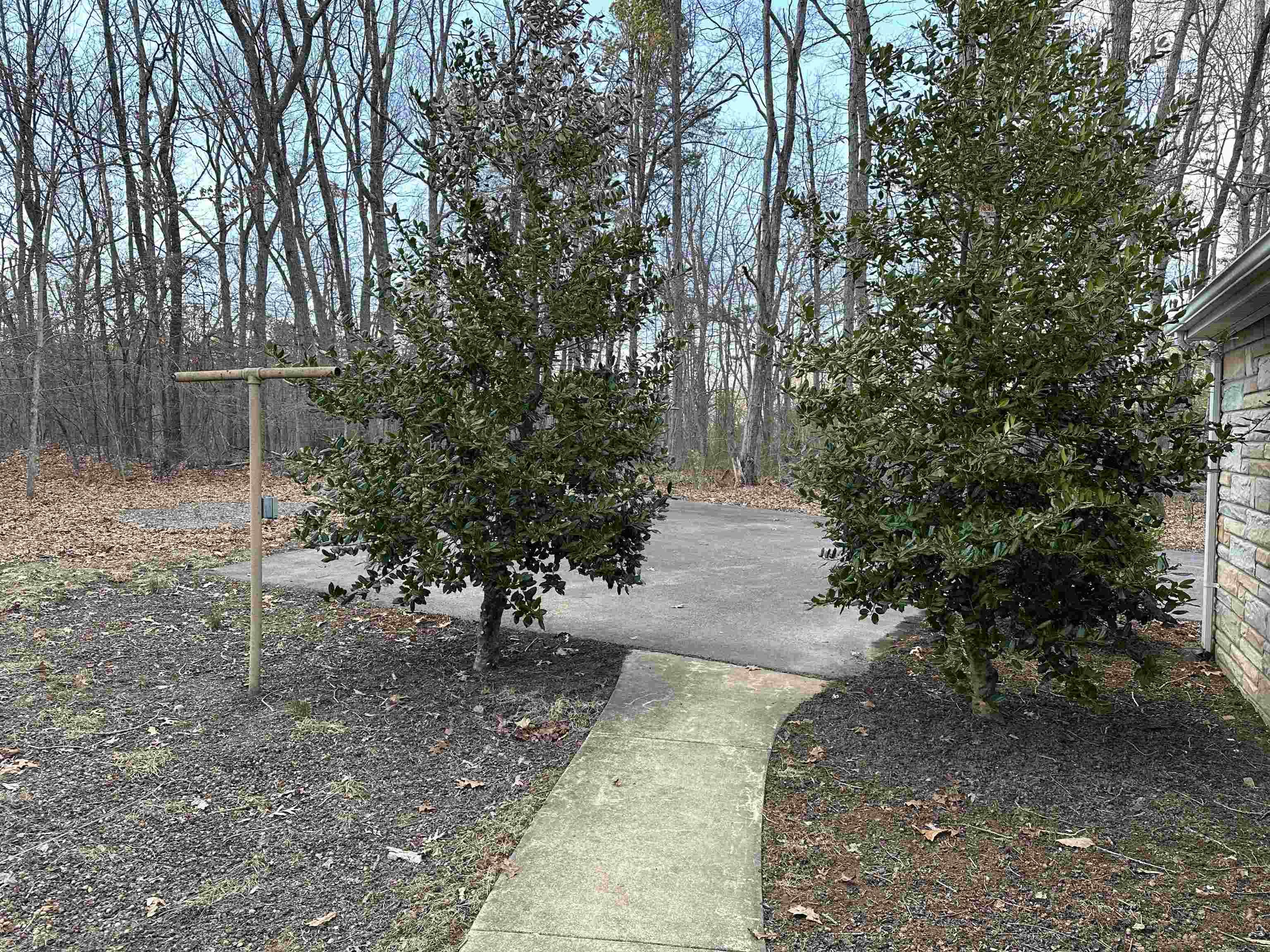 2205 Mt Torrey Road Lyndhurst, VA 22952 - Photo 9 of 43 a view of a yard with plants and trees