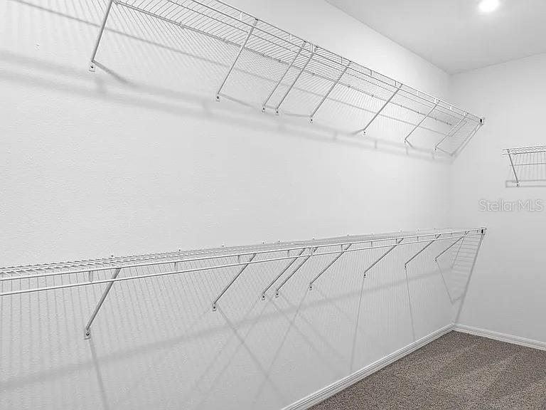 12341 Filbert Road Brooksville, FL 34614 - Photo 28 of 47