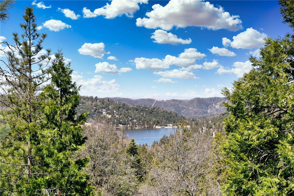a view of a lake with a mountain