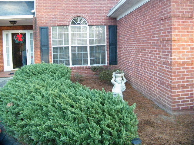 6252 Skipperton Road Macon, GA 31216 - Photo 16 of 16 Additional Photo