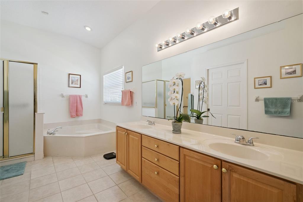 1584 Cherry Ridge Drive Lake Mary, FL 32746 - Photo 30 of 62 a bathroom with a bathtub sink double vanity and mirror