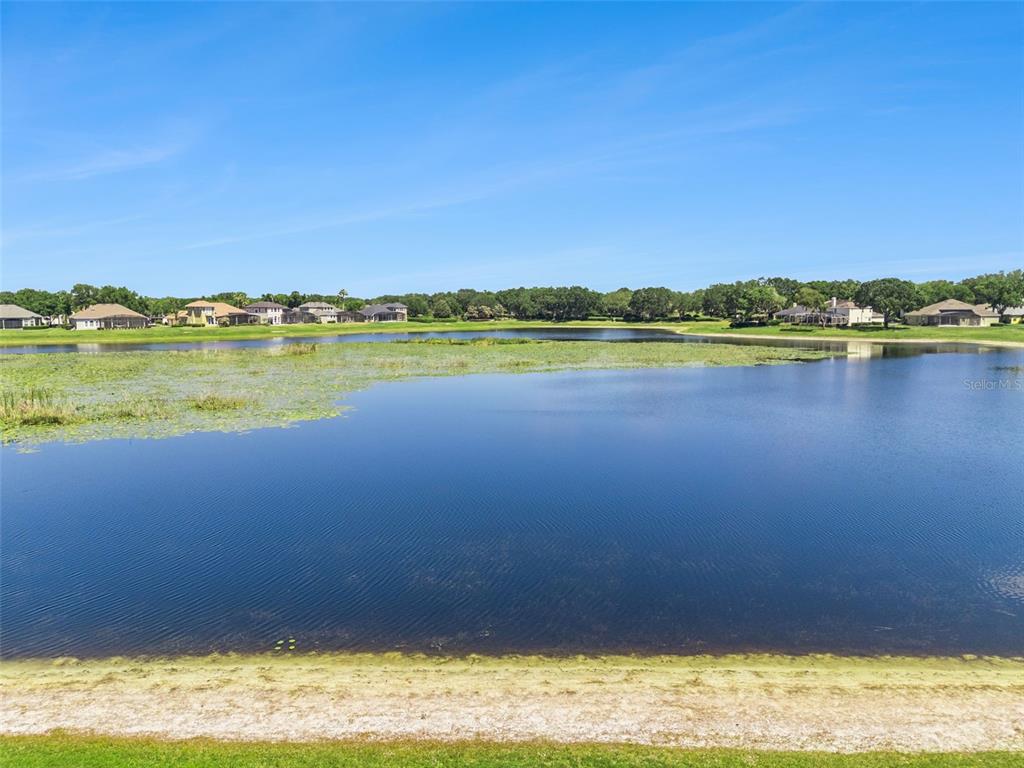 1584 Cherry Ridge Drive Lake Mary, FL 32746 - Photo 50 of 62 a view of an ocean and beach