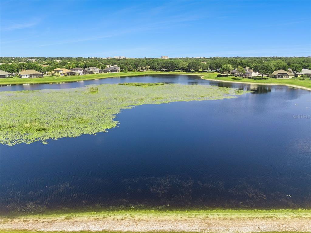 1584 Cherry Ridge Drive Lake Mary, FL 32746 - Photo 51 of 62 a view of an ocean and beach