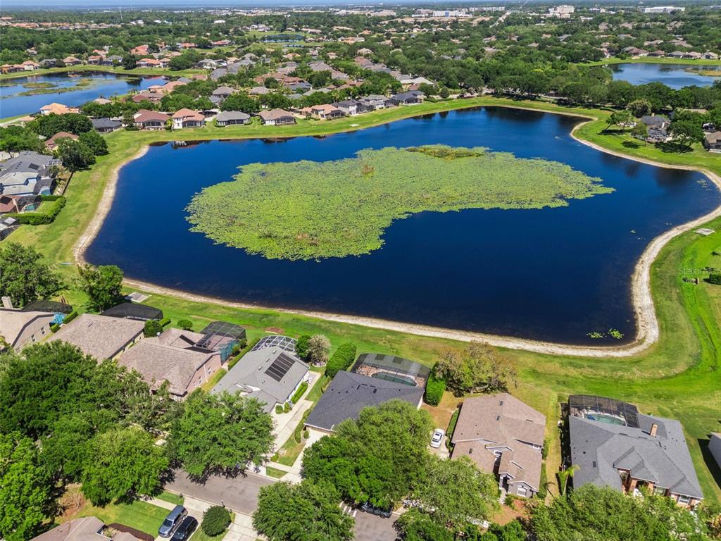 1584 Cherry Ridge Drive Lake Mary, FL 32746 - Photo 7 of 62 an aerial view of residential houses with outdoor space
