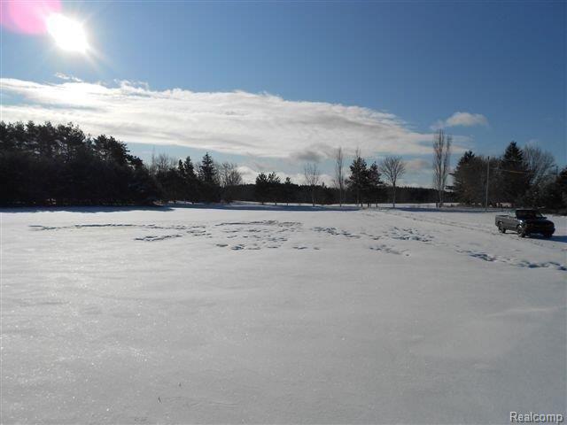 5671 Center Line Road Kingston, MI 48741 - Photo 14 of 14 Yard.jpg