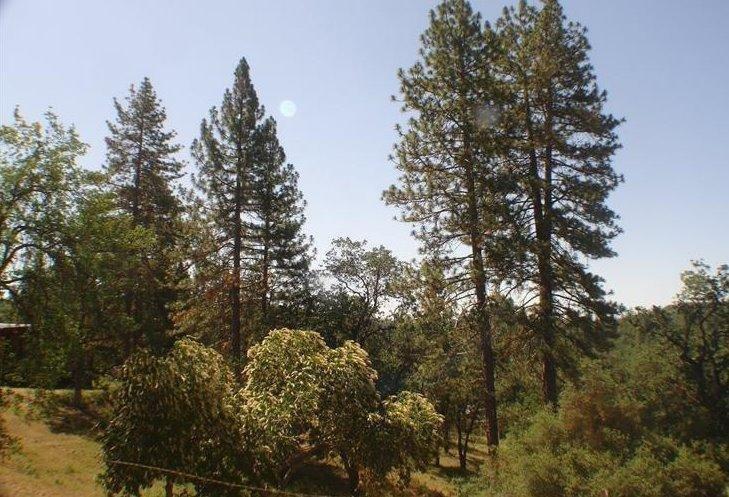 46542 Dunlap Road Miramonte, CA 93641 - Photo 2 of 26 pasture below the home