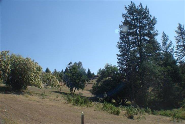 46542 Dunlap Road Miramonte, CA 93641 - Photo 7 of 26 pasture